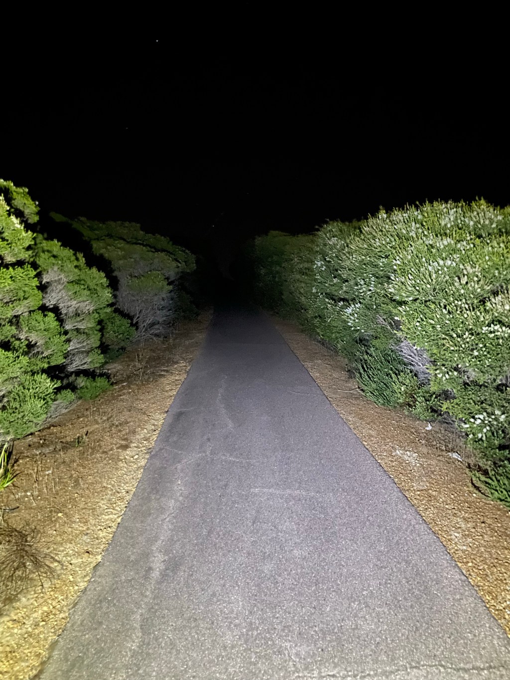 Back on The&nbsp;Path