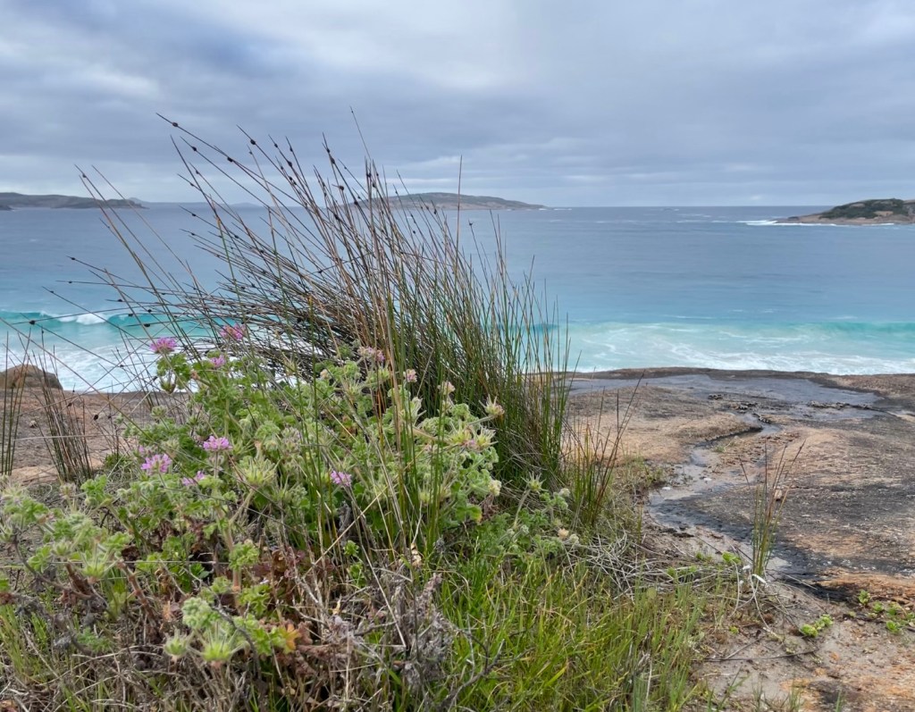 Wordless Wednesday – Springtime Grey&nbsp;Day